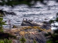 Cape Breton Highlands National Park
